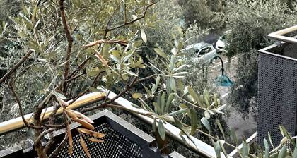 Stylish Downtown Apart close to the beach