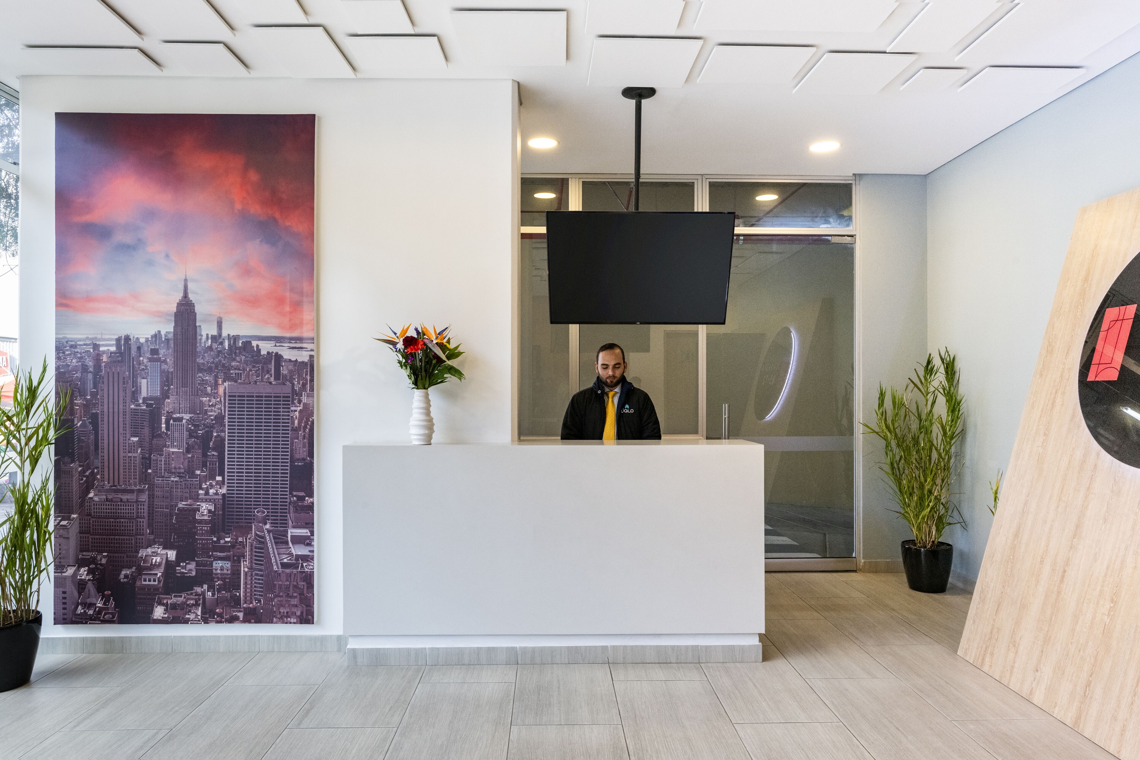 A reception desk with a cityscape poster, a flat-screen TV, and potted plants.