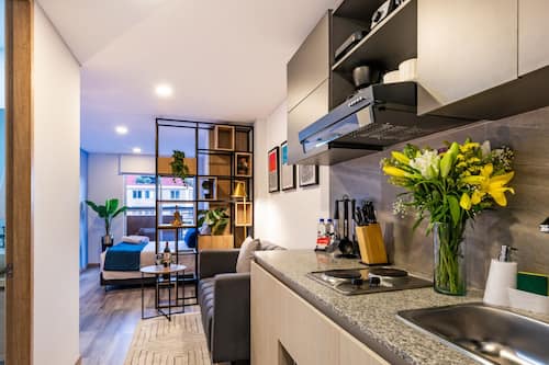 Fridge, microwave, stovetop, dishwasher