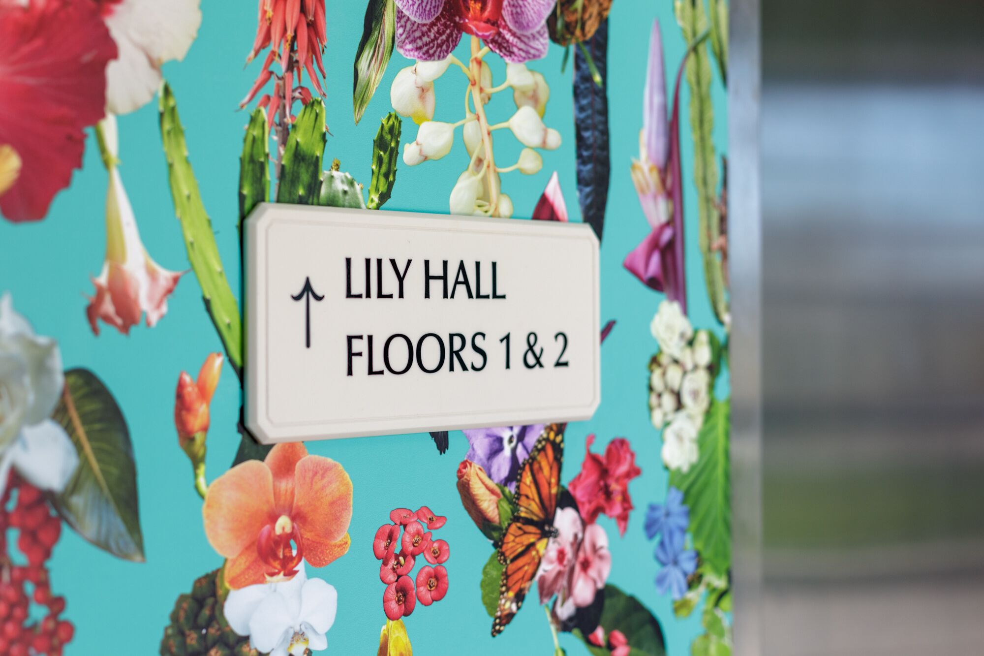 Sinal indicando 'LILY HALL ANDARES 1 E 2' com uma seta indicativa.