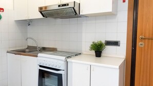 Eine kleine Küche mit weißen Schränken, einer Edelstahl-Spüle, einem Herd und einem kleinen Topfpflanzen.