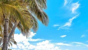 A wooden pathway leading to a beach with palm trees and a clear blue sky. - Trocean View, Luxury Apartment with Amazing Ocean View (RIO GRANDE)