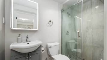 Shower, hair dryer, shampoo