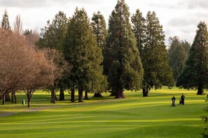 Golf - Entire 4-Bedroom Garden Level Suite Near UBC/YVR (Vancouver)