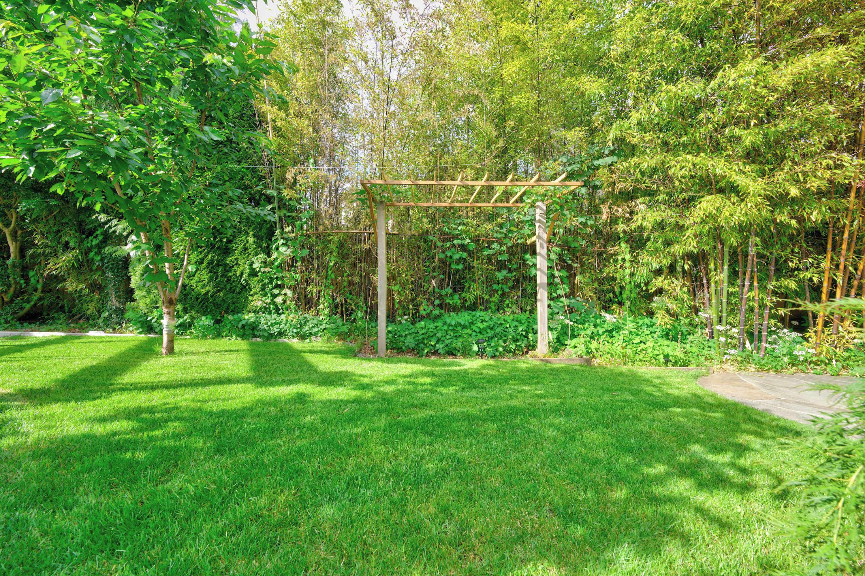 A garden with a pergola, lush greenery, and a well-maintained lawn.