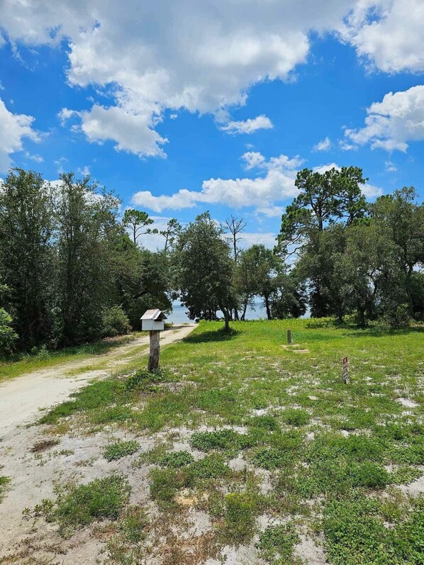A pathway leading to a body of water, surrounded by trees and a clear sky. - Starry Night Cottage • Bayfront • Pet Friendly • Fenced Yard • Sleeps 4 (Eastpoint)