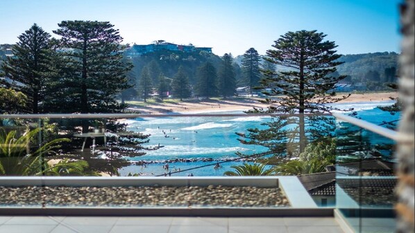 Property grounds - Avoca Beach Penthouse - Mesmerising Views (Avoca Beach)