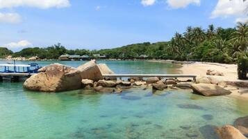 Una playa tropical despejada con un muelle, rocas y palmeras.