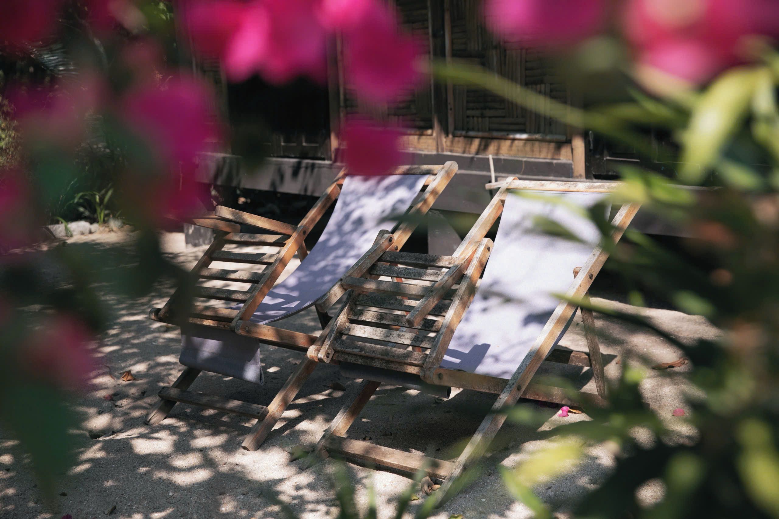 Three wooden lounge chairs with canvas backs, positioned on a sandy surface, surrounded by greenery.