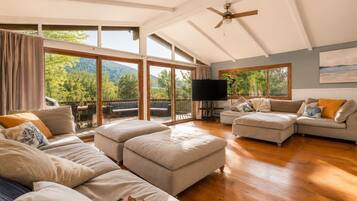 Smart TV, fireplace, books