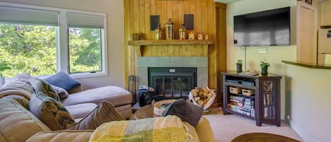 TV, fireplace, DVD player, video library