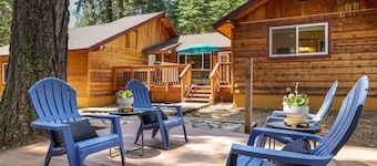 Sunlit Tahoe Park - Hot Tub, Private Yard, Pet Friendly HOA Beach