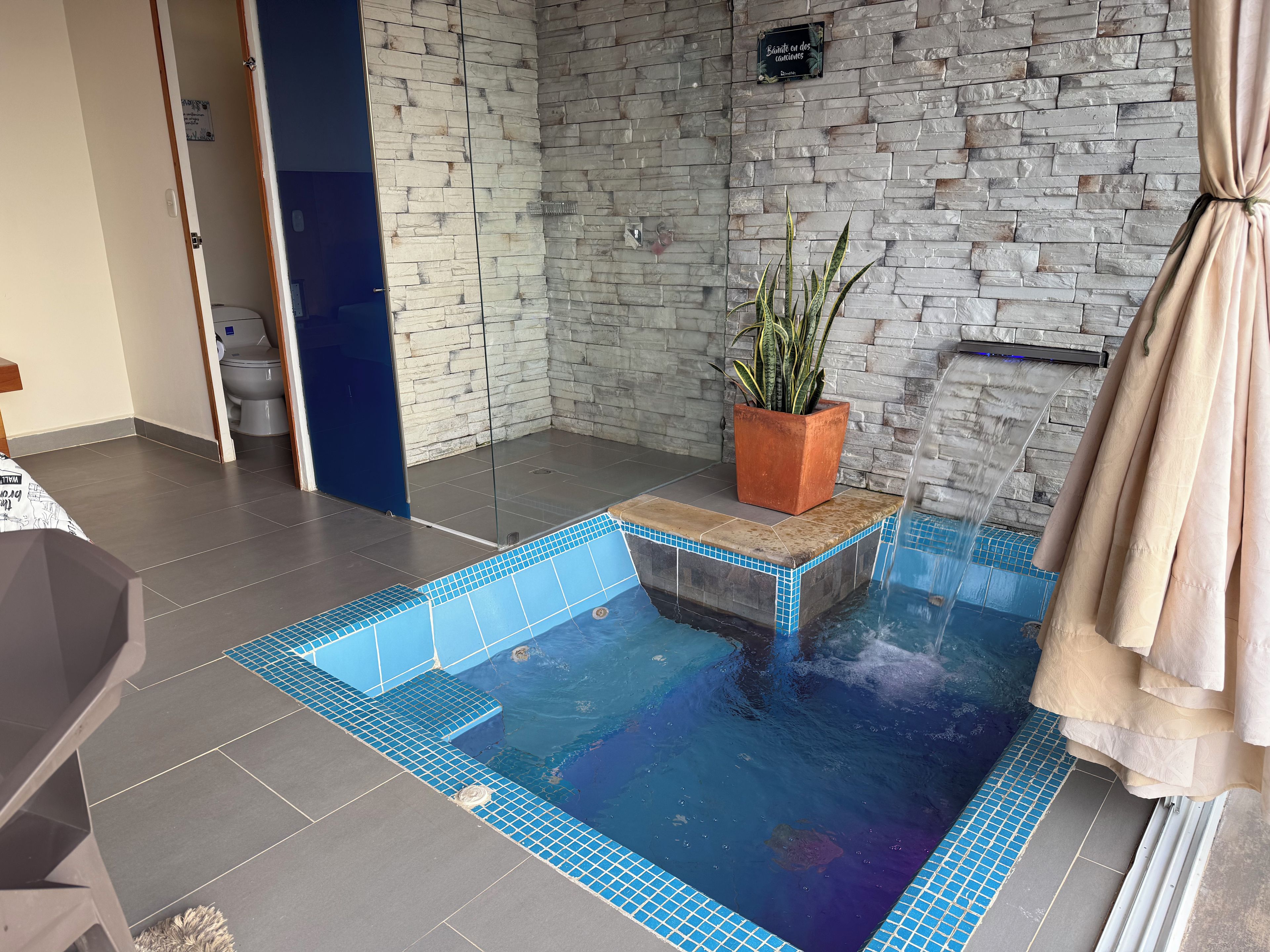 A small indoor pool with a stone wall and a potted plant.