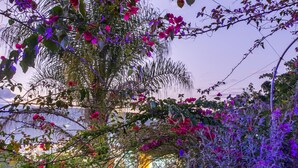 A garden pathway with stone steps, surrounded by lush greenery and flowering plants. - Sunset Palm Alojamiento Rural (San Gil)