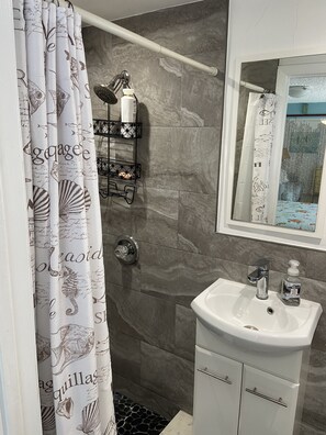 Douche, bidet, serviettes fournies, savon