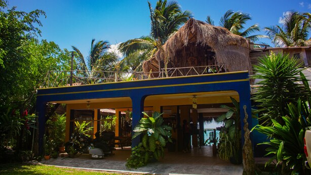 A thatched-roof structure with a blue and yellow exterior, surrounded by lush greenery and palm trees. - Propiedad a Orilla de Laguna (Huay-Pix)