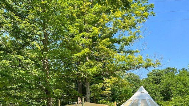 屋外ダイニングエリア