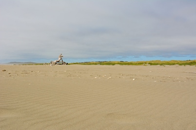 Surfcrest Resort - 26 beautiful beachfront acres