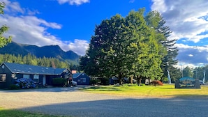 A motel with a large tree in front, a mountain in the background, and a clear sky. - Cascade Motel (Cascade Locks)