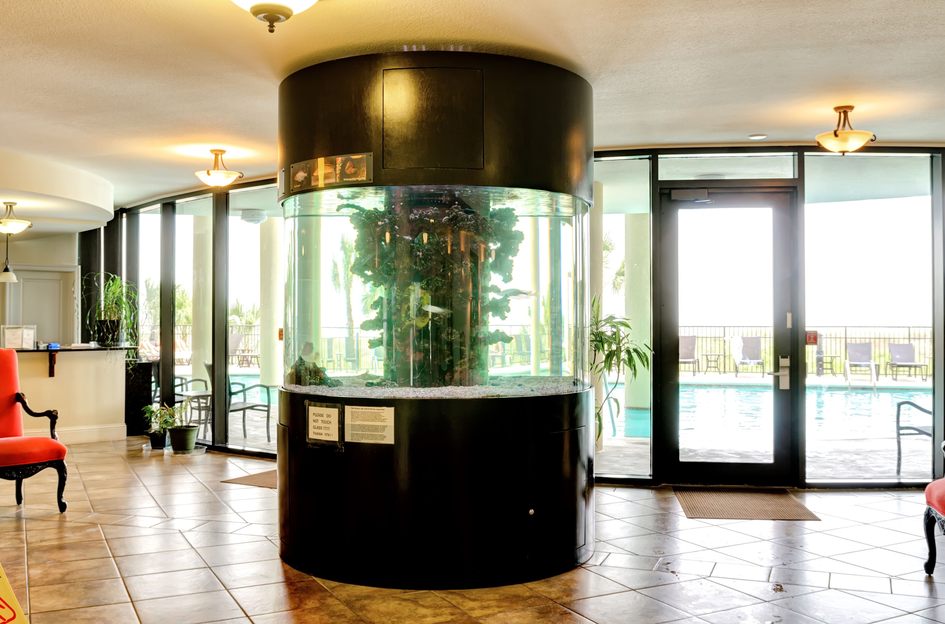 A large aquarium in a lobby with a view of an outdoor pool area.