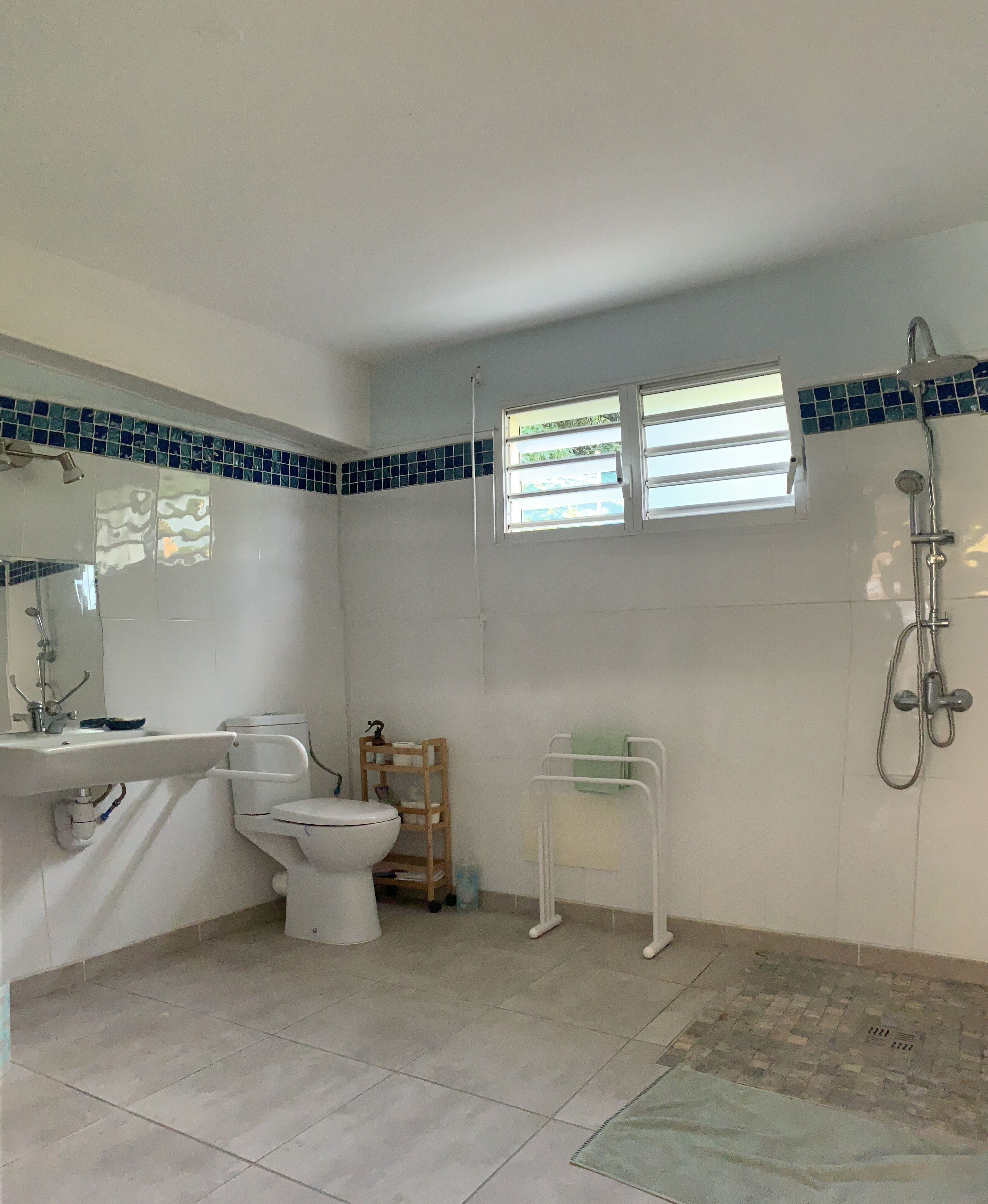 Ducha, secador de pelo y toallas