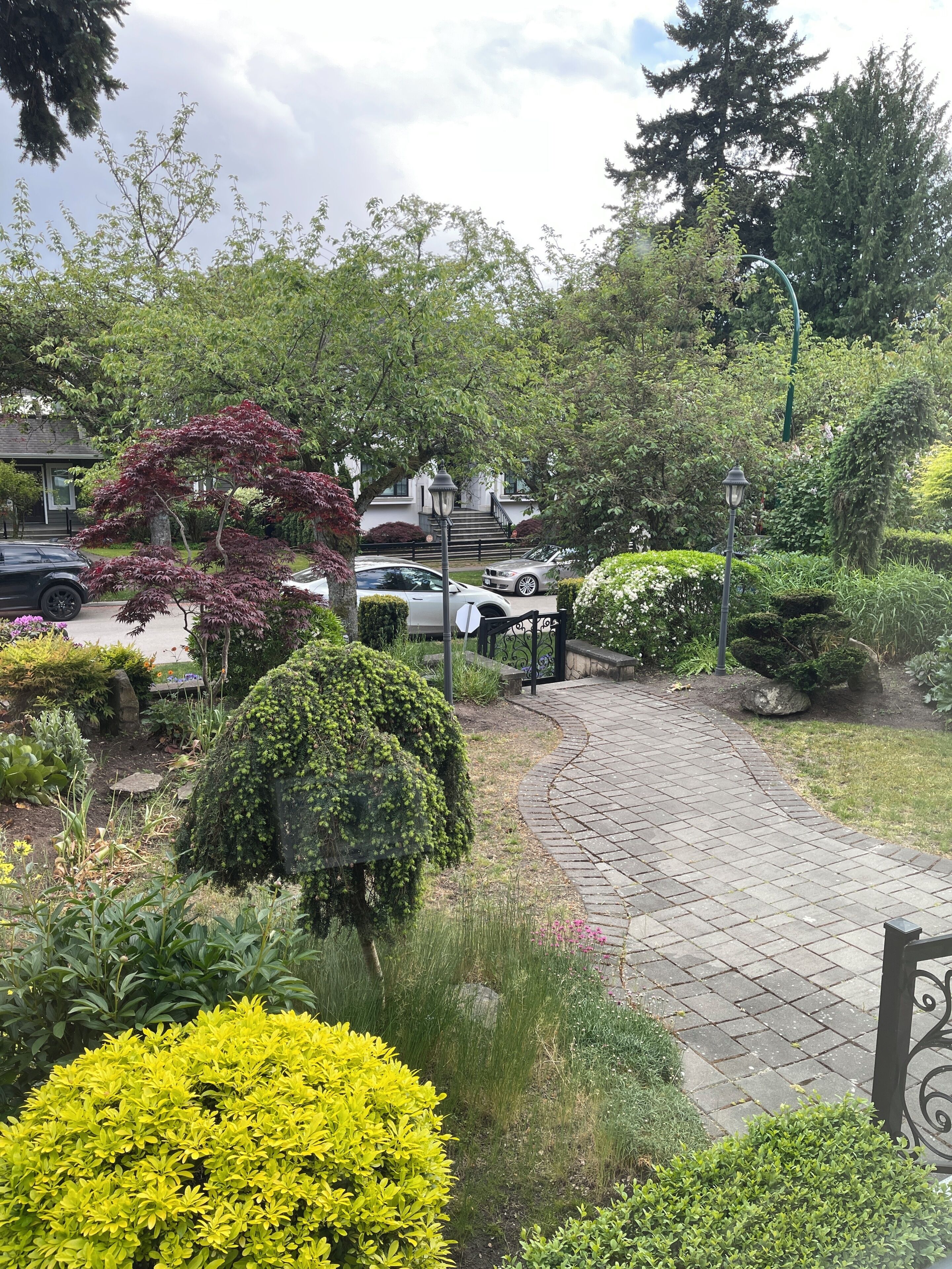 A paved pathway leading to a building with a staircase, surrounded by lush greenery and parked cars.