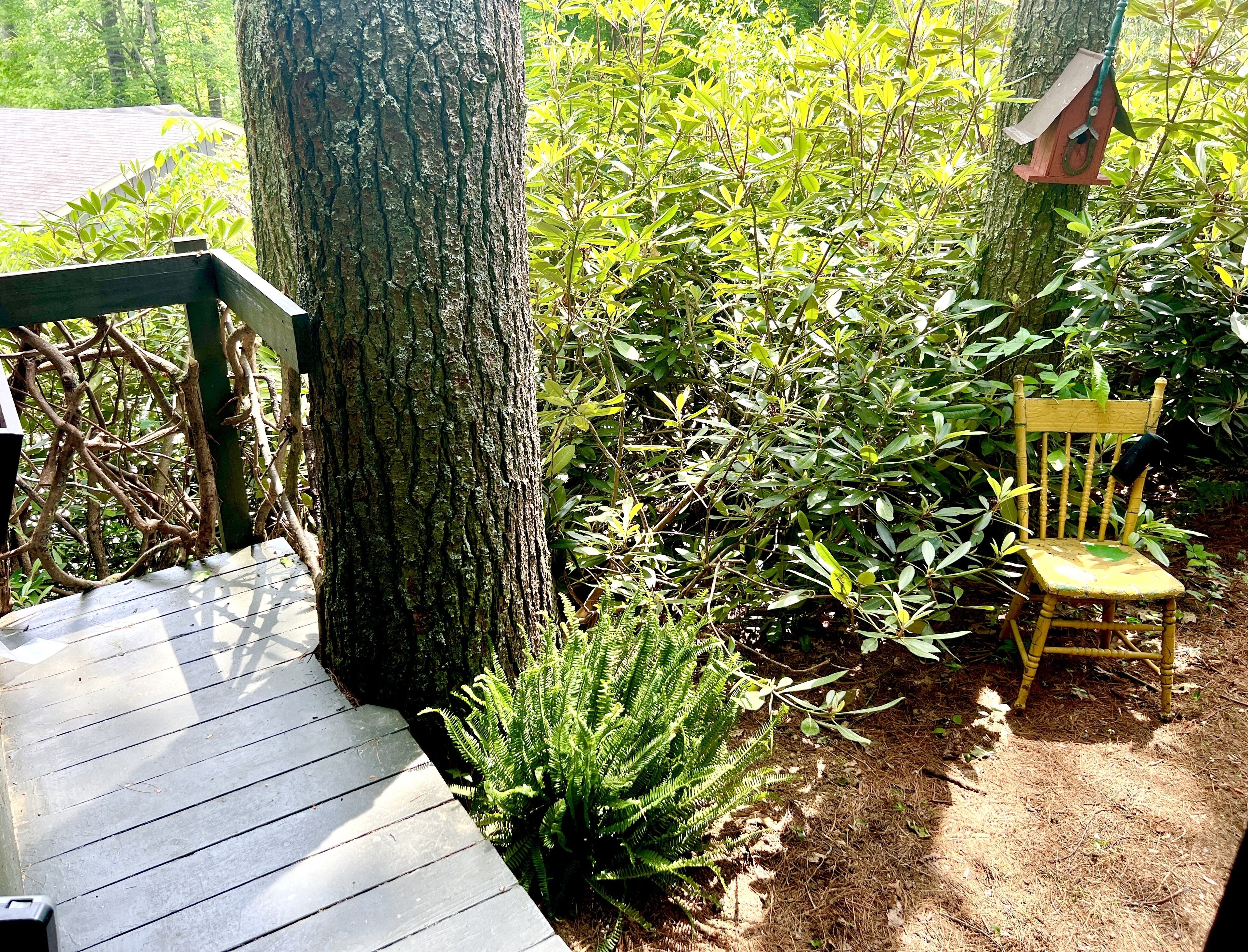 A wooden deck adjacent to a large tree, a wooden chair, and a birdhouse.