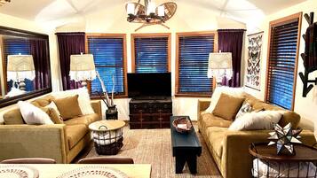 Smart TV, fireplace, books, computer monitors