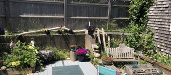 Cozy Beautiful Ptown 3 bedroom home/house.