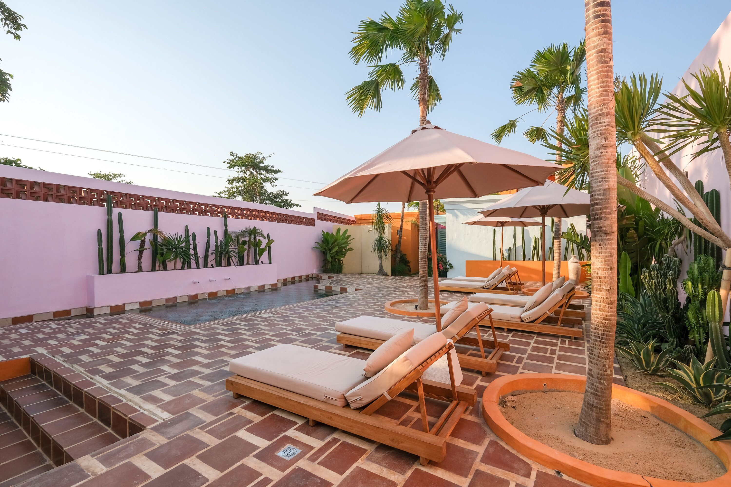 A poolside area with lounge chairs and umbrellas, surrounded by palm trees and cacti.