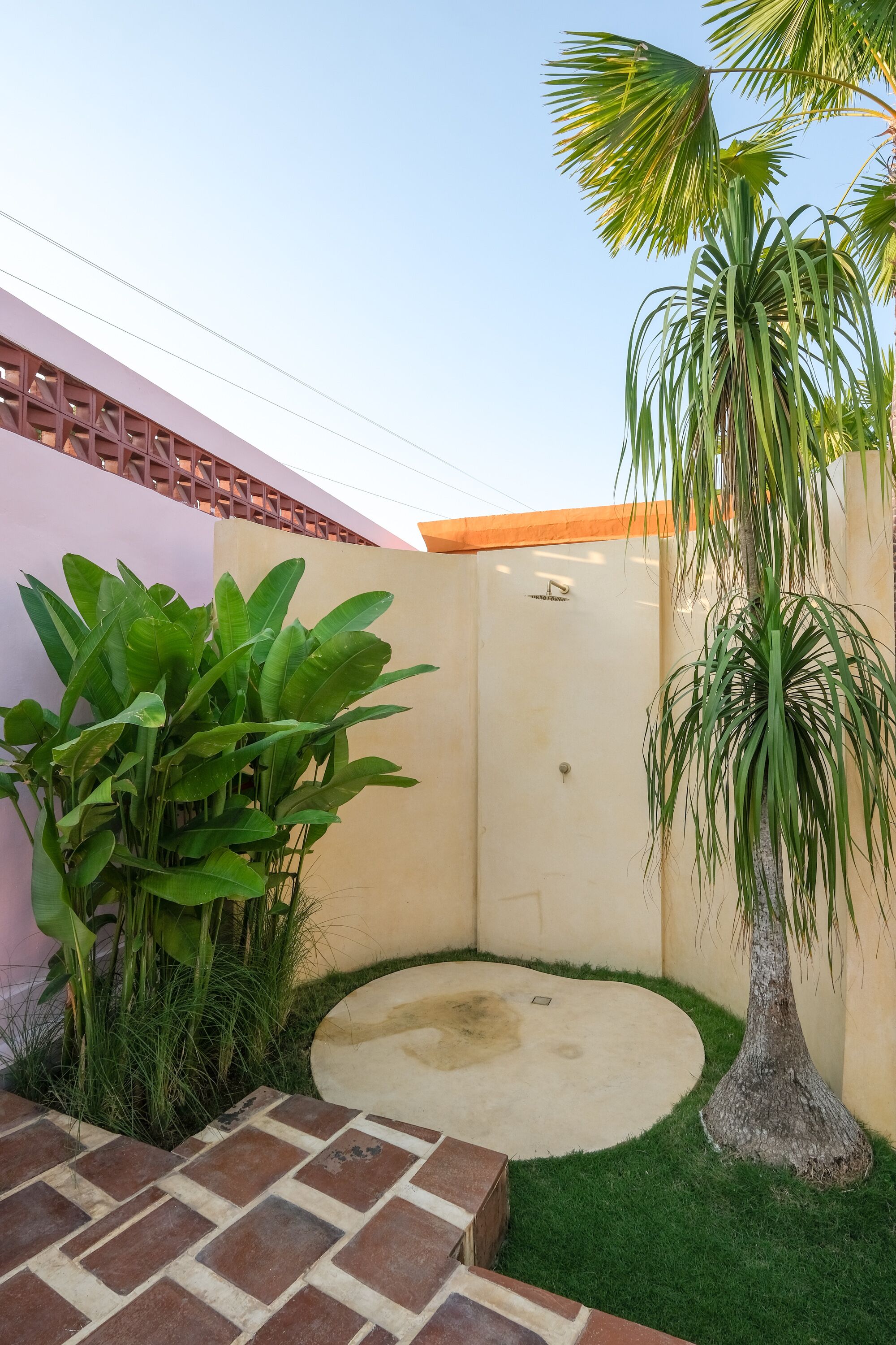 A small, enclosed outdoor area with a concrete floor, surrounded by a low brick wall and a tall palm tree.