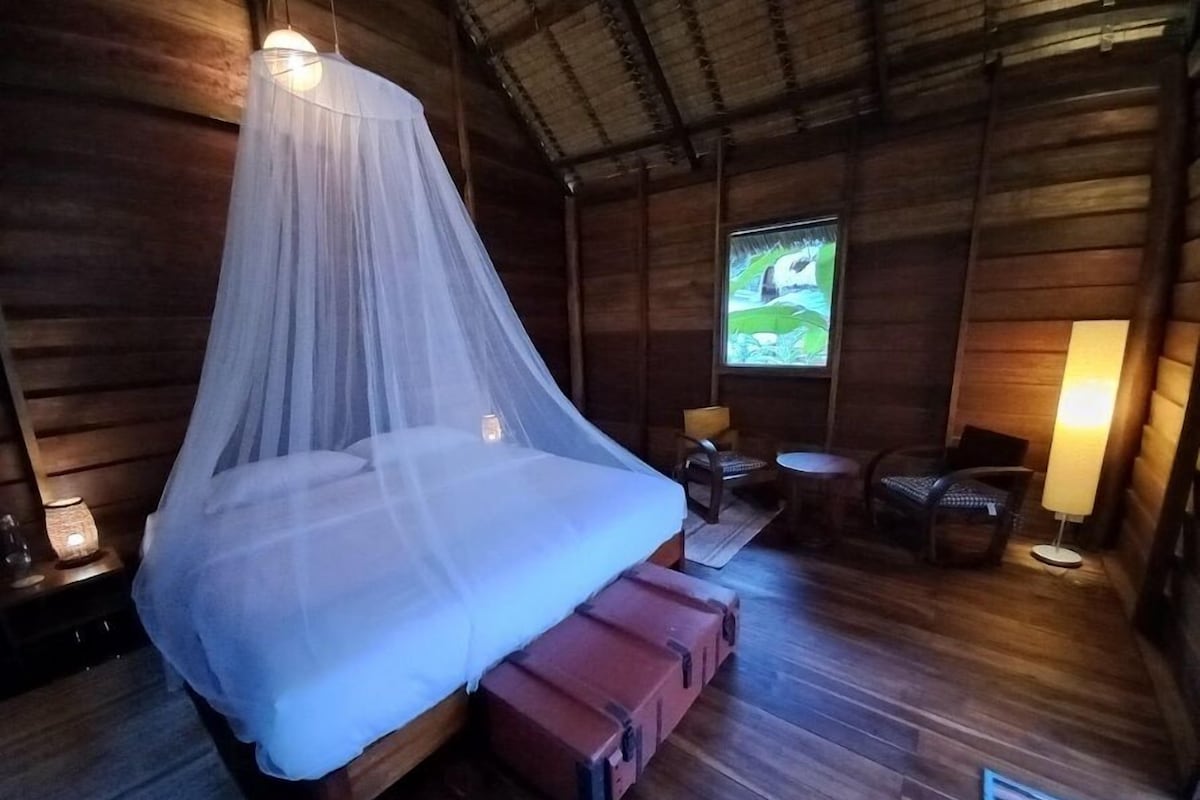 A wooden cabin room with a bed under a mosquito net, a small table with chairs, and a window with a view of greenery.