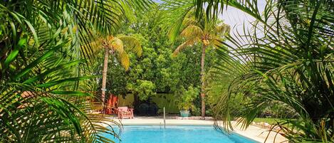 Piscine extérieure, parasols de plage, chaises longues