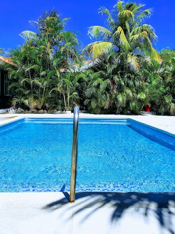 Una piscina al aire libre, sombrillas, sillones reclinables de piscina
