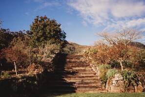 Vista des de l'habitació