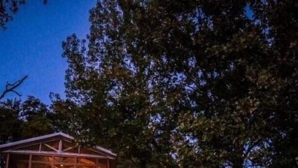 Une cabane en bois avec une façade en verre, une terrasse en bois qui y mène et un escalier.