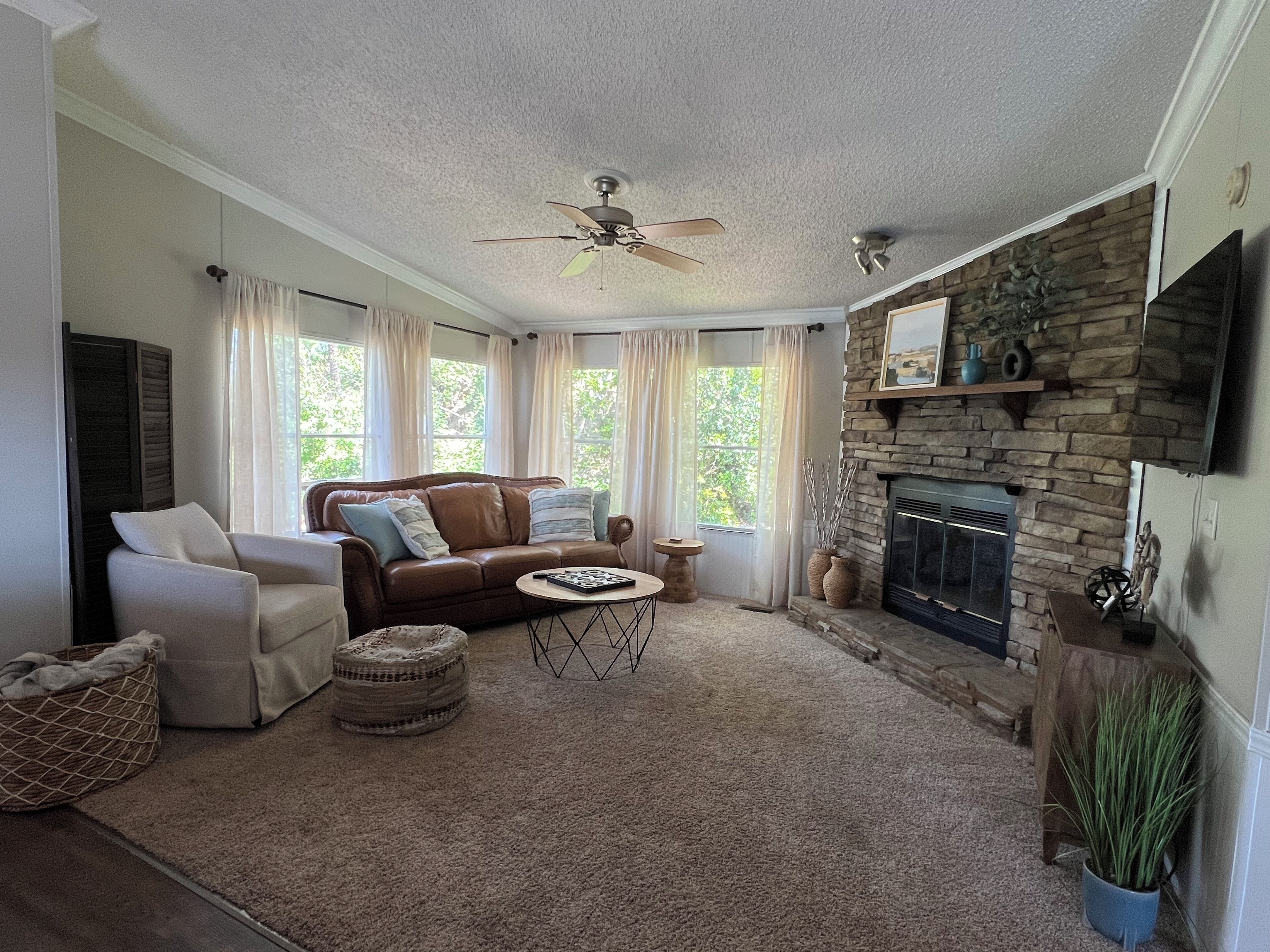 TV connectée, cheminée, livres