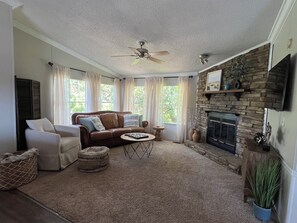 Smart TV, fireplace, books