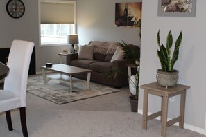 Smart TV, chimenea, libros