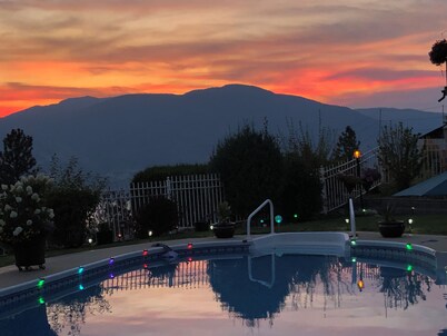 Wildlife, fun, and amazing views are waiting for you in Okanagan Falls!