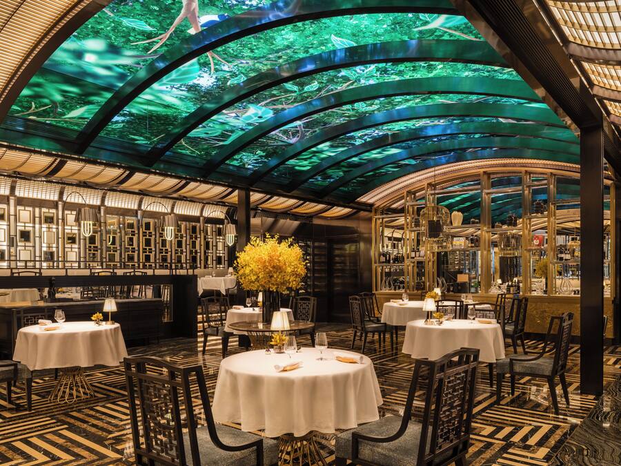 A restaurant with round tables, chairs, and a ceiling with a green tree projection.