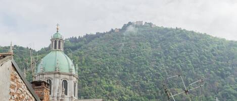 A building with a green dome and a bell tower, surrounded by residential buildings and a hill with a castle-like structure.