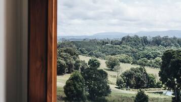 A window with a view of a green landscape, including trees and hills.