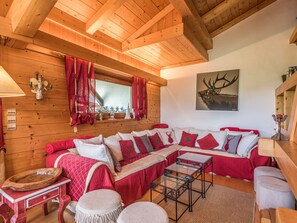 TV, lareira, DVD player, livros