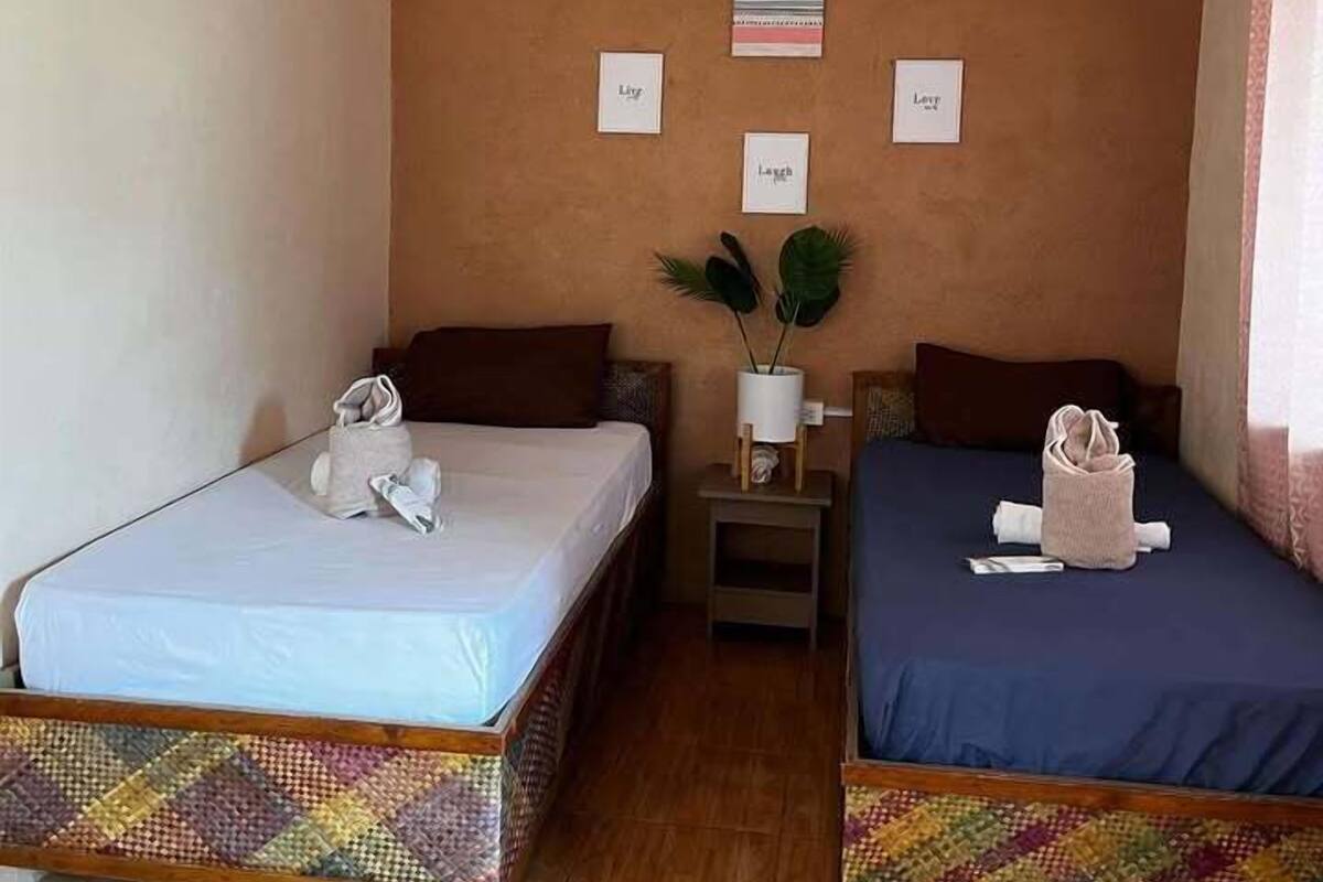 A small, cozy room with two single beds, a ceiling fan, a small table with a plant, and a wall with framed pictures.