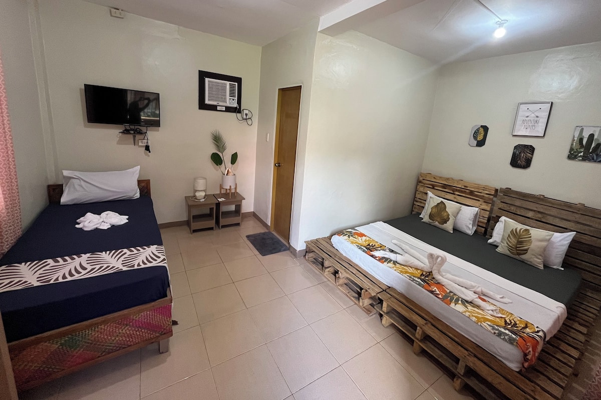 A room with two beds, a TV, a small table with a plant, and a door.