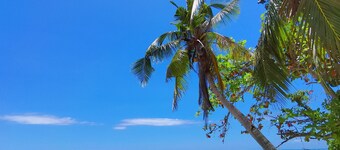 On Board Panglao Beach Hostel and Resort
