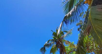 On Board Panglao Beach Hostel and Resort