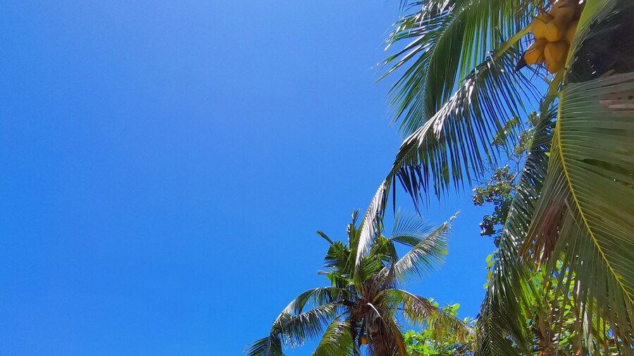On Board Panglao Beach Hostel and Resort