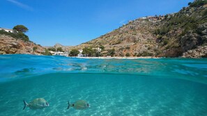 Plage à proximité